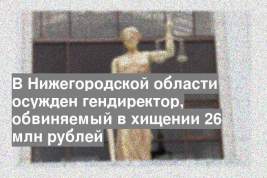 В Нижегородской области осужден гендиректор, обвиняемый в хищении 26 млн рублей