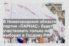 В Нижегородской области партия «ПАРНАС» будет участвовать только на выборах в Госдуму РФ