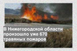 В Нижегородской области произошло уже 670 травяных пожаров