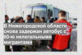 В Нижегородской области снова задержан автобус с 60-ю нелегальными мигрантами