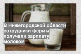 В Нижегородской области сотрудники фермы получали зарплату молоком