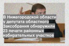 В Нижегородской области у депутата областного Заксобрания обнаружили 23 печати районных избирательных участков