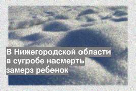 В Нижегородской области в сугробе насмерть замерз ребенок
