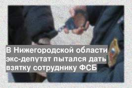 В Нижегородской области экс-депутат пытался дать взятку сотруднику ФСБ