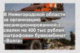 В Нижегородской области за организацию несанкционированной свалки на 400 тыс рублей оштрафован бумкомбинат «Волга»