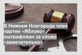 В Нижнем Новгороде член партии «Яблоко» оштрафован за слово «замечательно»