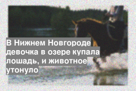 В Нижнем Новгороде девочка в озере купала лошадь, и животное утонуло