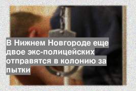 В Нижнем Новгороде еще двое экс-полицейских отправятся в колонию за пытки
