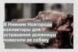 В Нижнем Новгороде коллекторы для устрашения должницы повесили ее собаку