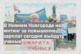 В Нижнем Новгороде на митинг за повышение зарплат сегодня выйдут ученые
