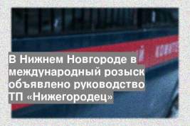 В Нижнем Новгороде в международный розыск объявлено руководство ТП «Нижегородец»