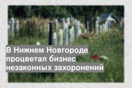 В Нижнем Новгороде процветал бизнес незаконных захоронений