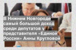 В Нижнем Новгороде самый большой доход среди депутатов у представителя «Единой России» Анны Кругловой