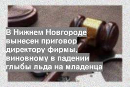 В Нижнем Новгороде вынесен приговор директору фирмы, виновному в падении глыбы льда на младенца