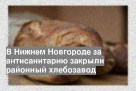 В Нижнем Новгороде за антисанитарию закрыли районный хлебозавод