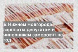 В Нижнем Новгороде зарплаты депутатам и чиновникам заморозят на год