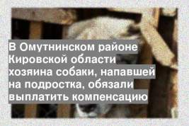 В Омутнинском районе Кировской области хозяина собаки, напавшей на подростка, обязали выплатить компенсацию