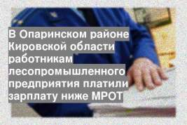 В Опаринском районе Кировской области работникам лесопромышленного предприятия платили зарплату ниже МРОТ