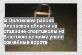 В Орловском районе Кировской области на стадионе спортшколы на 8-летнюю девочку упали хоккейные ворота