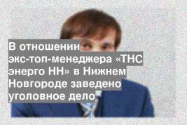 В отношении экс-топ-менеджера «ТНС энерго НН» в Нижнем Новгороде заведено уголовное дело