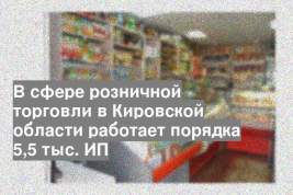 В сфере розничной торговли в Кировской области работает порядка 5,5 тыс. ИП