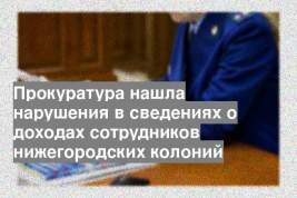 Прокуратура нашла нарушения в сведениях о доходах сотрудников нижегородских колоний