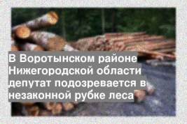 В Воротынском районе Нижегородской области депутат подозревается в незаконной рубке леса