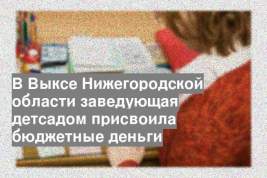 В Выксе Нижегородской области заведующая детсадом присвоила бюджетные деньги