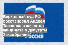 Верховный суд РФ восстановил Андрея Тарасова в качестве кандидата в депутаты Заксобрания