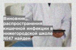 Виновник распространения кишечной инфекции в нижегородской школе №47 найден