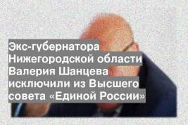 Экс-губернатора Нижегородской области Валерия Шанцева исключили из Высшего совета «Единой России»
