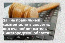 За «не правильный» комментарий в соцсетях под суд пойдет житель Нижегородской области