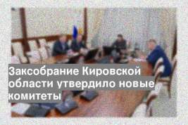 Заксобрание Кировской области утвердило новые комитеты