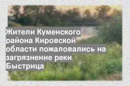 Жители Куменского района Кировской области пожаловались на загрязнение реки Быстрица